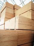 Fir Plywood